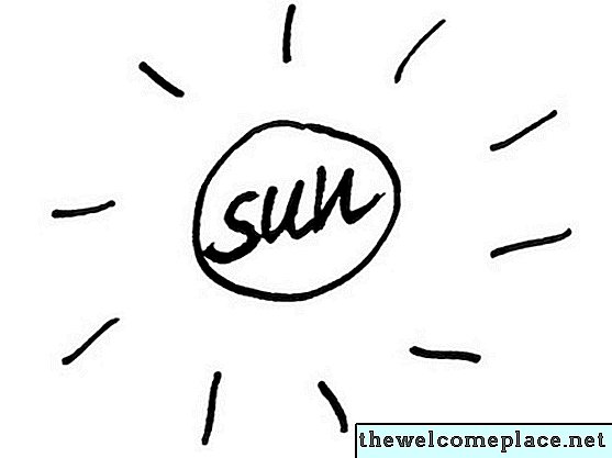 Bagaimana Tumbuhan Matahari Mempengaruhi?