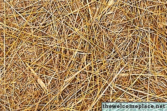 Combien de temps faut-il pour laisser de la paille sur les nouvelles graines d'herbe?