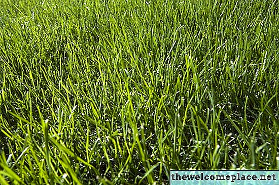 Combien de terre arable est nécessaire pour faire pousser de la bonne herbe?
