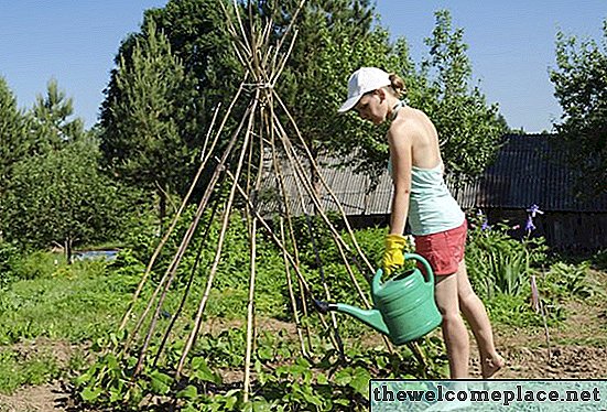 Hoe vaak moet ik mijn moestuin water geven?