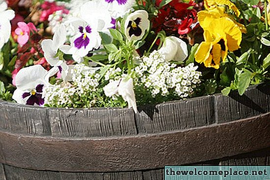 Como organizar flores em um plantador de barril de vinho