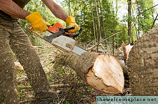 Kako oddati ponudbe za odstranitev dreves