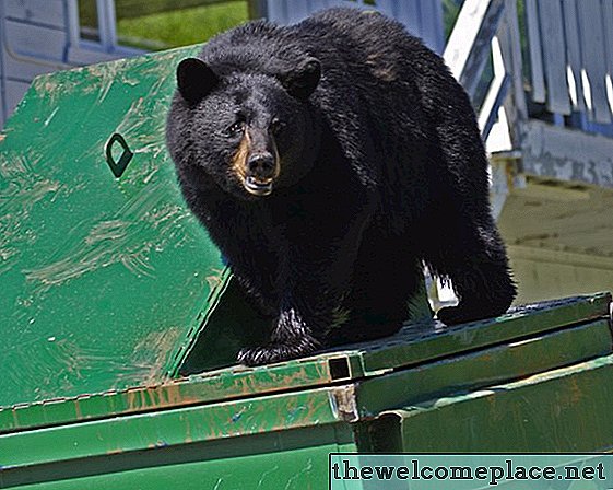 كيفية بناء مربع القمامة الدببة