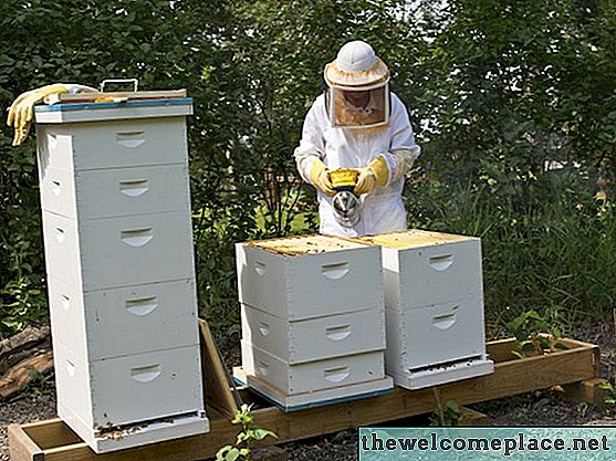 Wie man einen Bienenstock baut