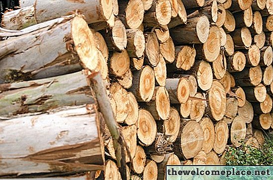 Cómo cuidar la madera de eucalipto