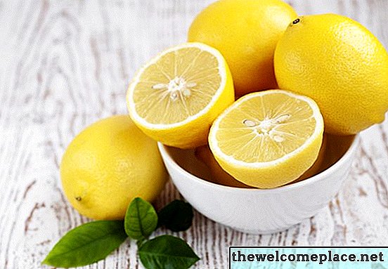Cómo cuidar un helecho de limón (Nephrolepis cordifolia)