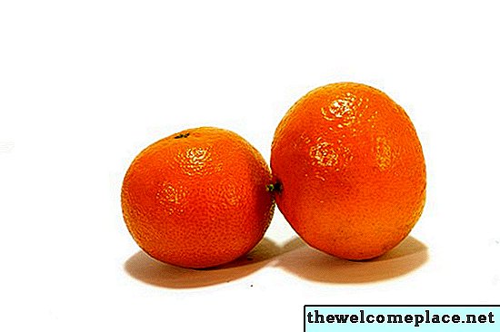 Sådan passer du på en Satsuma Mandarin Orange Tree Plant