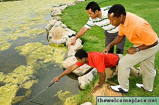 Comment nettoyer les algues noires du tissu