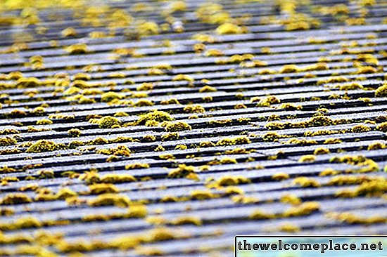 Como limpar o musgo das telhas de asfalto