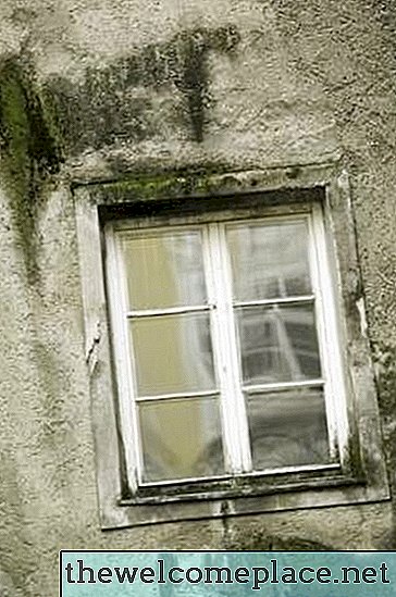 Pencere Camı Kapalı Moss Nasıl Temizlenir