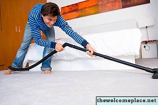 Cómo limpiar tu casa después de un caso de sarna