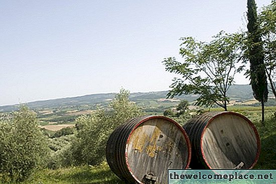 Comment fertiliser les cyprès italiens