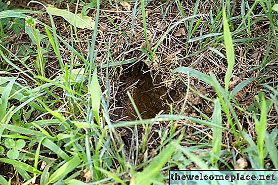 Как да запълним дупки в тревата с почвата
