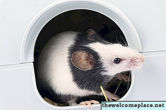 Comment remplir un trou de souris