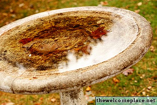 Come riparare un Birdbath in cemento rotto