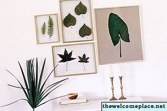 Cómo enmarcar hojas reales para crear arte botánico original