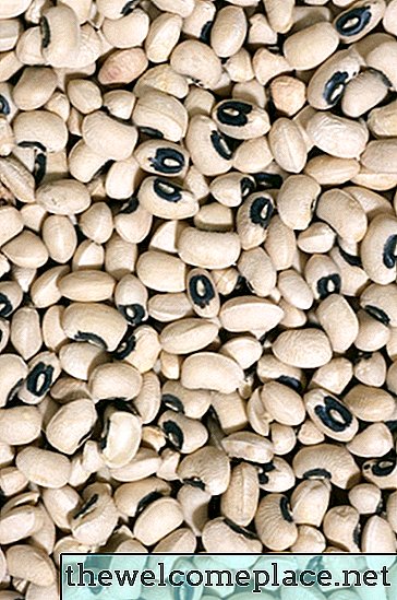 Bagaimana Membekukan Kacang Hitam-Mata atau Cowpeas