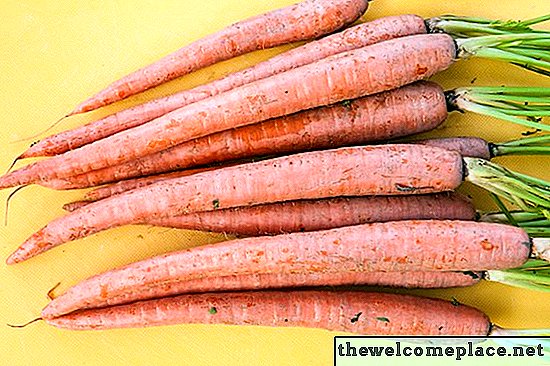 Cómo congelar zanahorias sin blanquear