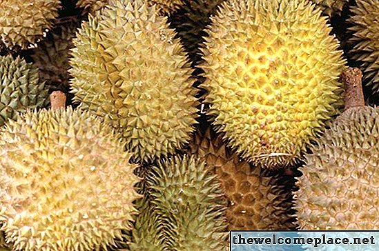 Cómo deshacerse de un olor Durian en la nevera