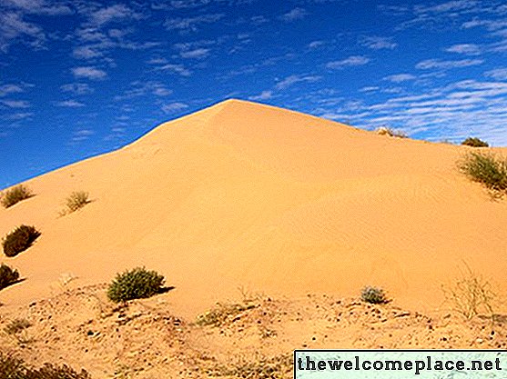 Como se livrar de vespas de areia