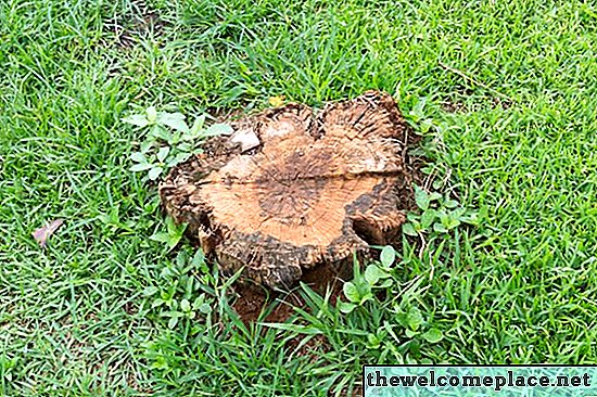كيفية التخلص من جذوع الأشجار في الفناء الخاص بك