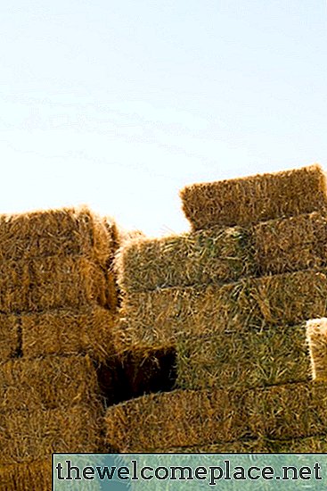 Hvordan bli kvitt Wet Hay Bales