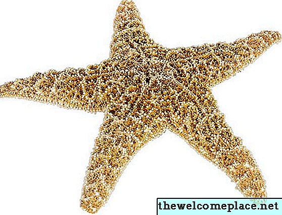Kako izvući miris iz sušene morske zvijezde
