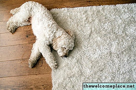 Cómo obtener el olor a orina de la alfombra y el acolchado