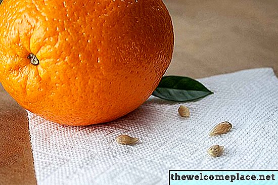 Cómo cultivar un naranjo a partir de semillas