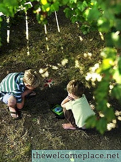 Wie man Gras in toten Flecken nachwächst