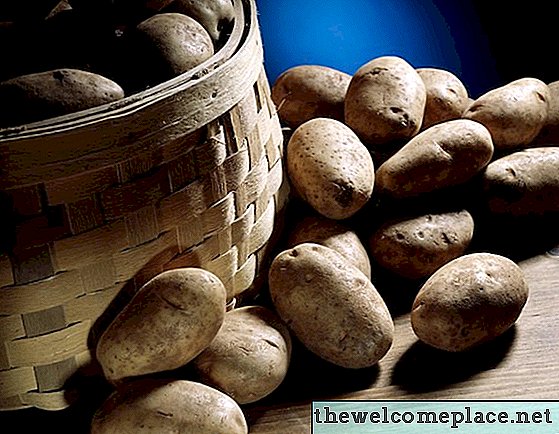 Hoe hydrocultuur aardappelen te telen