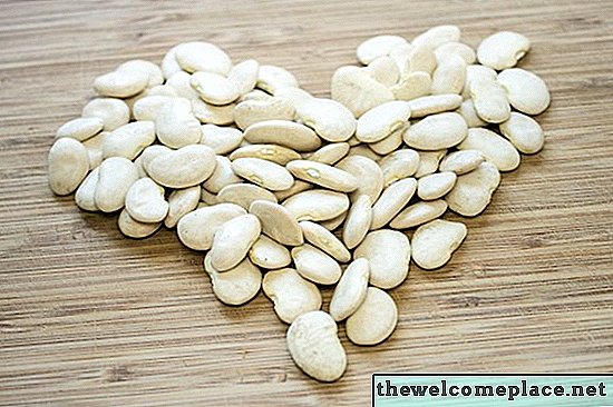 Cara Meningkatkan Bean Lima dalam Beg