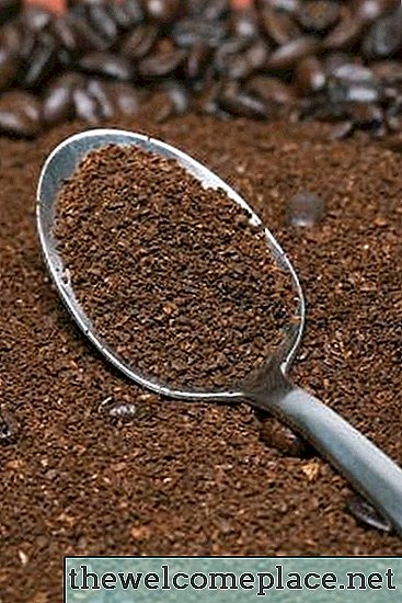 Wie man Pilze im Kaffeesatz züchtet