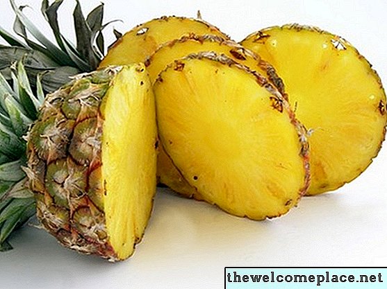 Wie Ananas Hydroponik wachsen