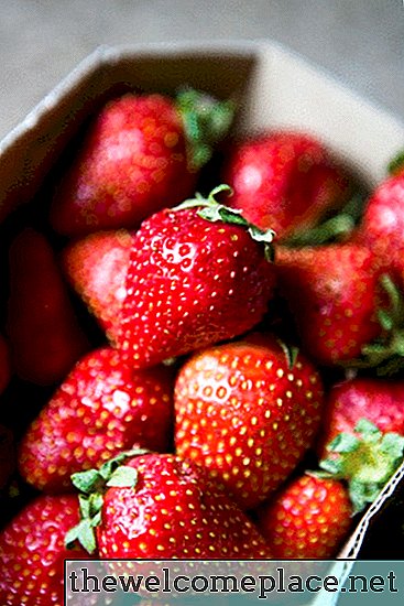 Como crescer plantas de morango da baga