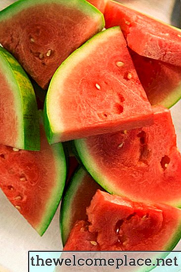 Wie Wassermelonen in Colorado wachsen