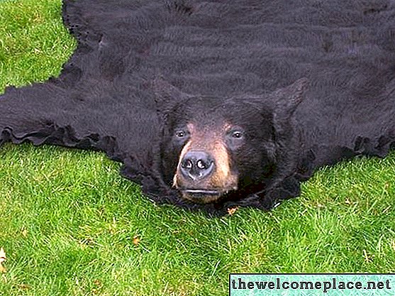 Come appendere un tappeto di orso su una parete