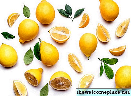כיצד לקצור ולהשתמש בלימון לימון