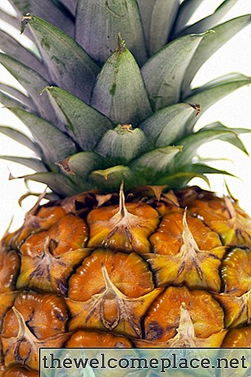 So identifizieren Sie eine reife Ananas