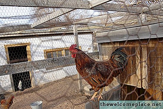 Come installare un recinto di filo di pollo