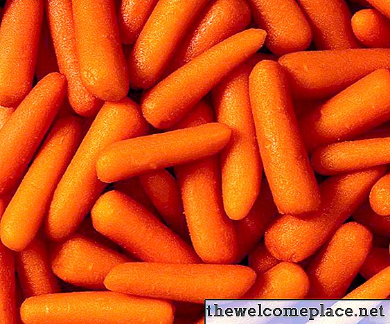 Comment garder les carottes fraîches au réfrigérateur