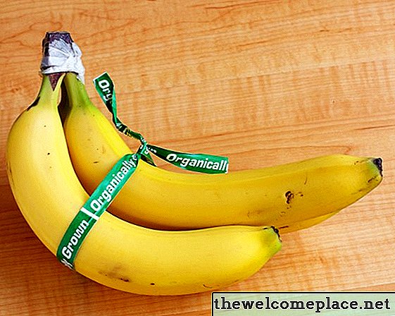 Jak udržet ovocné mušky z banánů