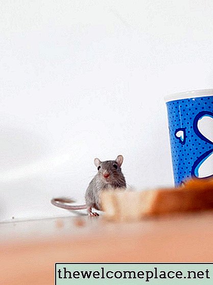 כיצד להרחיק עכברים מהמגירות