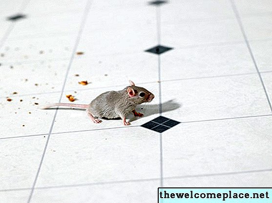 كيفية الحفاظ على الفئران من خزانة بلدي
