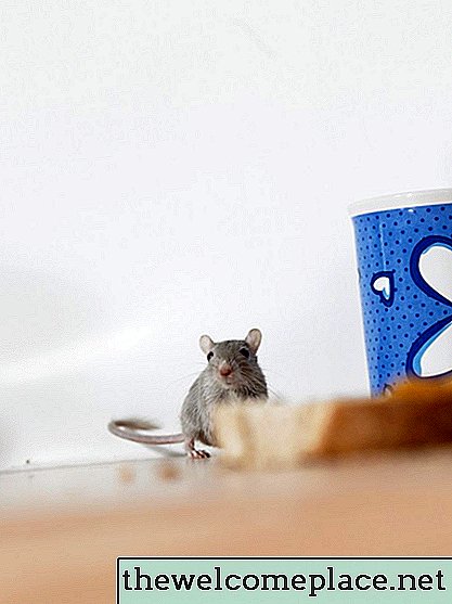 كيفية الحفاظ على الفئران من فتحات مجفف الخاص بك