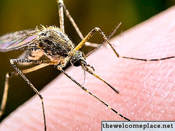 Cómo mantener alejados a los mosquitos