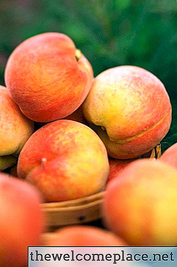 Hur man håller persikor från att mogna för snabbt