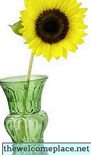 Wie man Sonnenblumen am Leben erhält