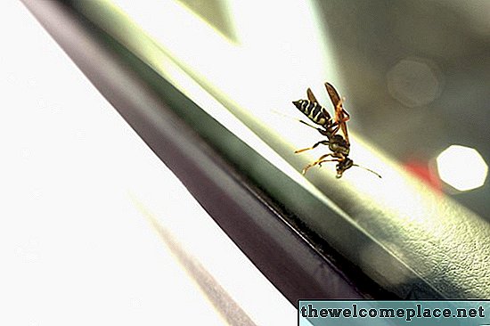 Wie man Wespen davon abhält, Nester zu bauen