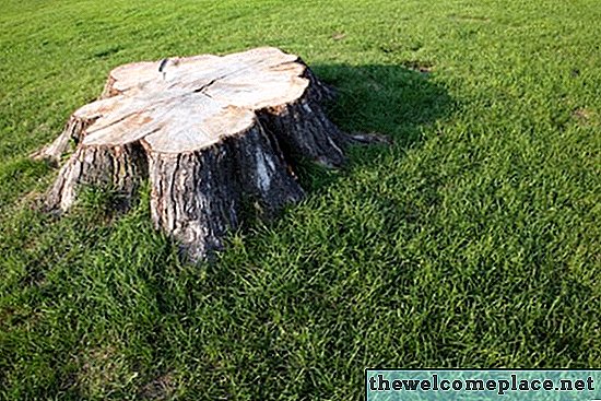 Πώς να σκοτώσει Stumps Tree με Roundup